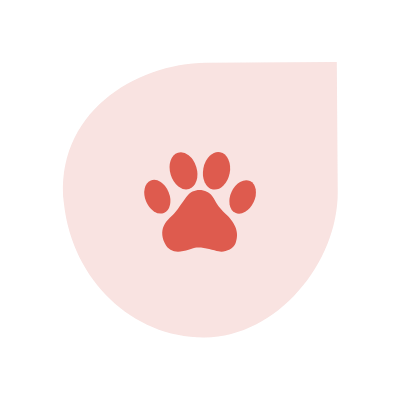 Pet paw icon